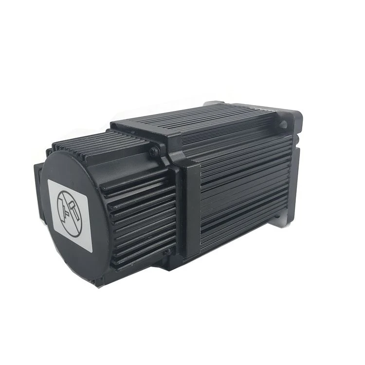Mali servo motor